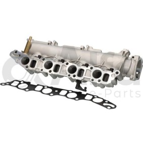 Ansaugbrücke des Herstellers Alfa e-Parts - Originalware Artikelnummer: AF08812