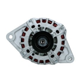 Lichtmaschine von BV PSH
