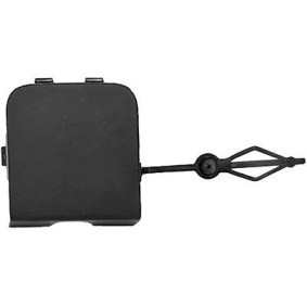 Klappe, Abschlepphaken 4013954 von DIEDERICHS günstig für 26,43 € online kaufen