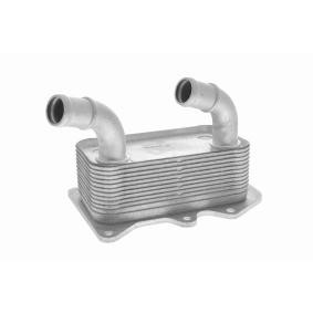 Acquista Radiatore olio motore da ACKOJA A52-60-1006 a buon mercato per soli 58,93 €