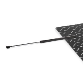 Comprar Amortiguador de maletero de RIDEX 219G1221 a bajo precio de 13,93 €