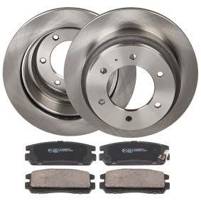Acquista Kit dischi e pastiglie da RIDEX online per TFR/TFS Pick-up a prezzi moderati