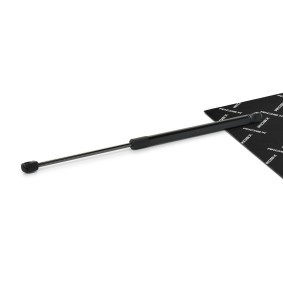 Heckklappendämpfer von RIDEX