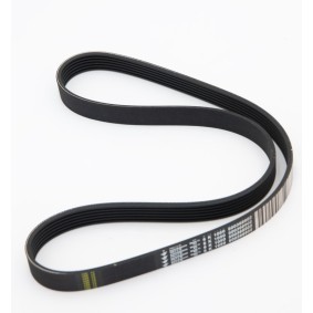 Keilrippenriemen des Herstellers IVECO - Originalware Artikelnummer: 500368902