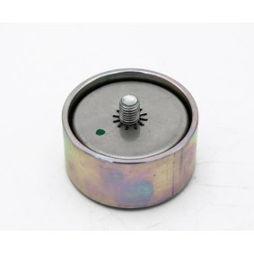 Umlenk- / Führungsrolle, Keilrippenriemen des Herstellers IVECO - Originalware Artikelnummer: 504065878