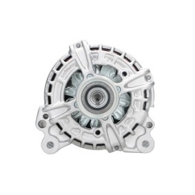 Lichtmaschine von BV PSH