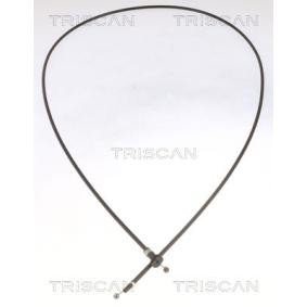 Motorhaubenzug für VW von TRISCAN