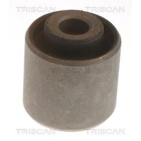 Acquista Supporto braccio oscillante da TRISCAN 8500 12815 a buon mercato per soli 8,90 €