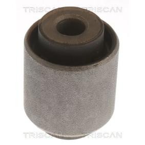 Acquista Supporto braccio oscillante da TRISCAN 8500 40831 a buon mercato per soli 10,18 €