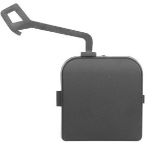 Klappe, Abschlepphaken 4098067 von DIEDERICHS günstig für 24,44 € online kaufen