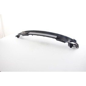 Lüftungsgitter, Stoßfänger BSG 75-922-025 von BSG günstig für 50,88 € online kaufen