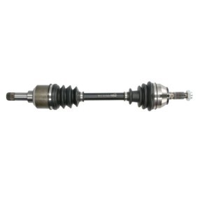 Compre Palier de PASCAL online para 205 F Furgoneta a precios moderados