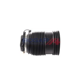 Luftfeder, Fahrwerk C3432111 von BOGAP günstig für 429,40 € online kaufen