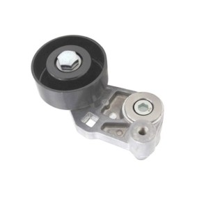 Riemenspanner, Keilrippenriemen BT-0048 von GOOM günstig für 27,94 € online kaufen