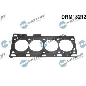 Acquista Guarnizione testata da DR.MOTOR AUTOMOTIVE online per Kaptur (HA) a prezzi moderati
