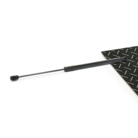 Heckklappendämpfer von RIDEX