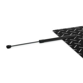 Compre Amortecedor da mala da RIDEX 219G1290 a um preço baixo por 10,91 €