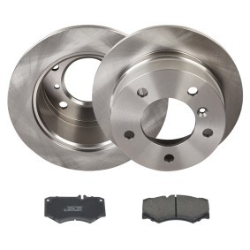 Bremsscheiben und -beläge von RIDEX