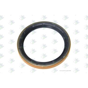 Wellendichtring, Differential des Herstellers Euroricambi - Originalware Artikelnummer: 74170060