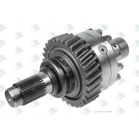 Differential Einzelteile des Herstellers Euroricambi - Originalware Artikelnummer: 60170068