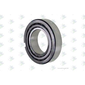 Lagerung, Schaltgetriebe 98530405 RENAULT TRUCKS von Euroricambi