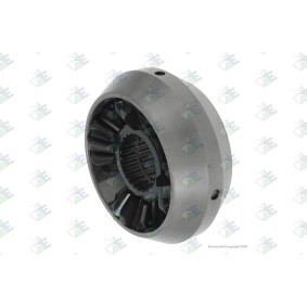 Reparatursatz, Differential des Herstellers Euroricambi - Originalware Artikelnummer: 74170220