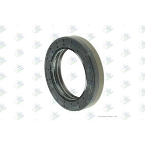 Compre Retentor, diferencial da Euroricambi 60171136 a um preço baixo por 26,97 €