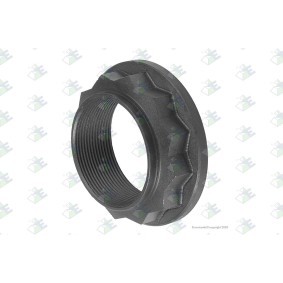 Differential Einzelteile des Herstellers Euroricambi - Originalware Artikelnummer: 60170101