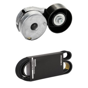Achetez des Kit de courroie d'accessoire de chez RIDEX en ligne pour Grand Scénic III (JZ, JZ0/1) à prix modérés