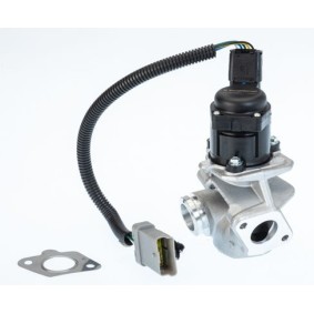 Comprar Válvula EGR de WAHLER 710936D a bajo precio de 100,98 €