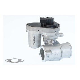 Comprar Válvula EGR de WAHLER 710942D a bajo precio de 106,76 €