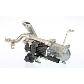 Comprar Válvula EGR de WAHLER 710944D a bajo precio de 155,32 €