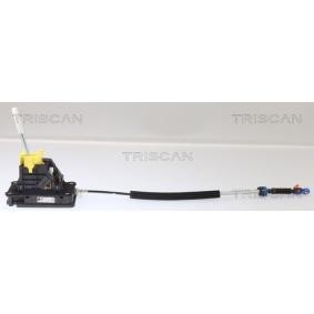 Seilzug, Automatikgetriebe 8140 25718 von TRISCAN günstig für 454,74 € online kaufen