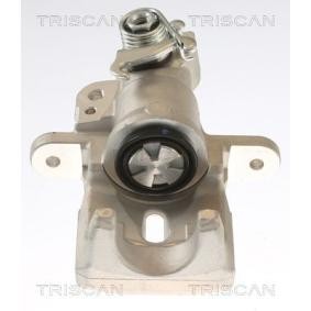 Bremssattel von TRISCAN