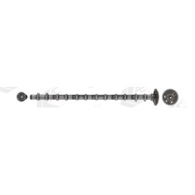 Nockenwelle CAM1028 von AE günstig für 261,76 € online kaufen