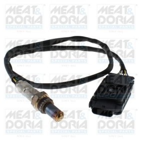 NOx-Sensor, NOx-Katalysator von MEAT & DORIA