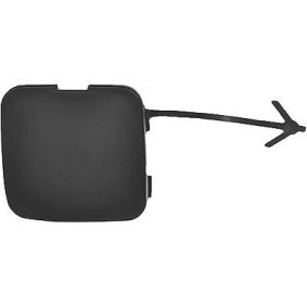 Klappe, Abschlepphaken 4497062 von DIEDERICHS günstig für 24,92 € online kaufen