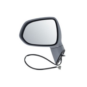 Compre Espelho retrovisor da BLIC 5402-04-1121922P a um preço baixo por 44,71 €