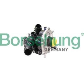 Wasserpumpe des Herstellers Borsehung - Originalware Artikelnummer: B11209