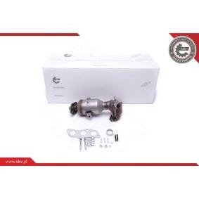 Acquista Catalizzatore da ESEN SKV 62SKV001 a buon mercato per soli 277,37 €