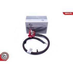 Batterie des Herstellers ESEN SKV - Originalware Artikelnummer: 96SKV313