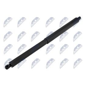 Acquista Ammortizatore pneumatico, Cofano bagagli / vano carico da NTY AE-VW-107 a buon mercato per soli 50,97 €