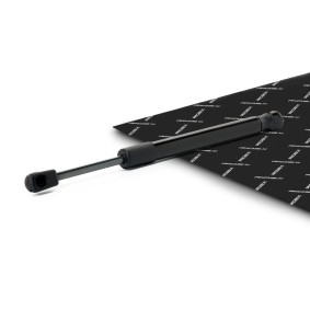 Compre Amortecedor de capô de RIDEX online para 3 Sedan (F30, F80) a preços moderados