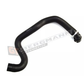 Acquista Flessibile radiatore da GT-BERGMANN GT52-142 a buon mercato per soli 33,57 €