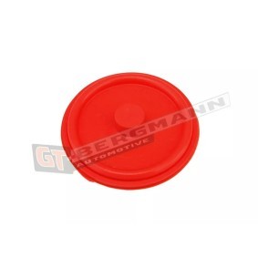 Kurbelgehäuseentlüftung des Herstellers GT-BERGMANN - Originalware Artikelnummer: GT58-013