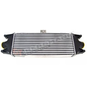 Ladeluftkühler GT5801349167 von GT-BERGMANN günstig für 73,25 € online kaufen