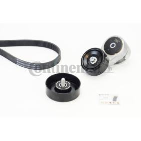 Achetez des Kit de courroie d'accessoire de chez CONTITECH en ligne pour CERATO II A trois volumes (TD) à prix modérés