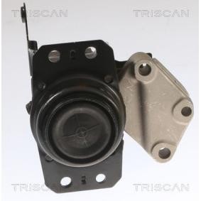 Lagerung, Automatikgetriebe von TRISCAN