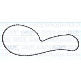 Dichtung, Wasserpumpe 01620800 von AJUSA günstig für 19,96 € online kaufen
