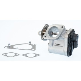 Compre Válvula EGR da BTS TURBO A100012 a um preço baixo por 136,41 €
